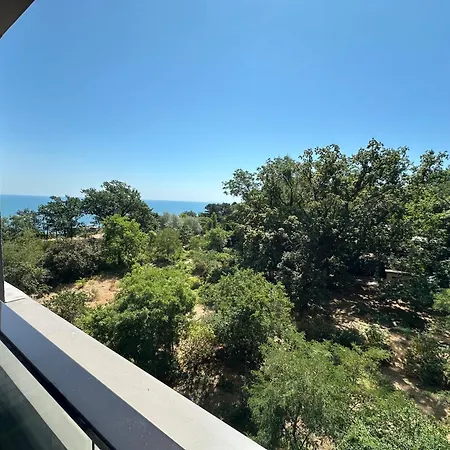 гринвуд * オデッサ